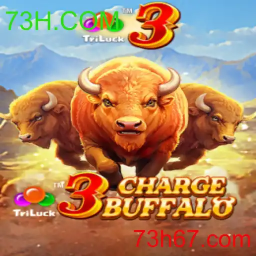 3ChargeBuffalo
